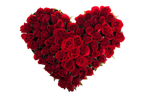 Srdce z růží XXL